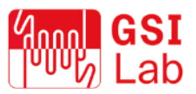 GSI LAB